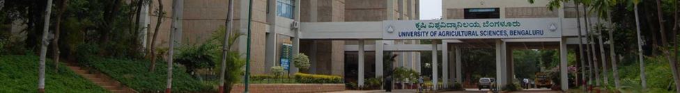 Main Building - Header