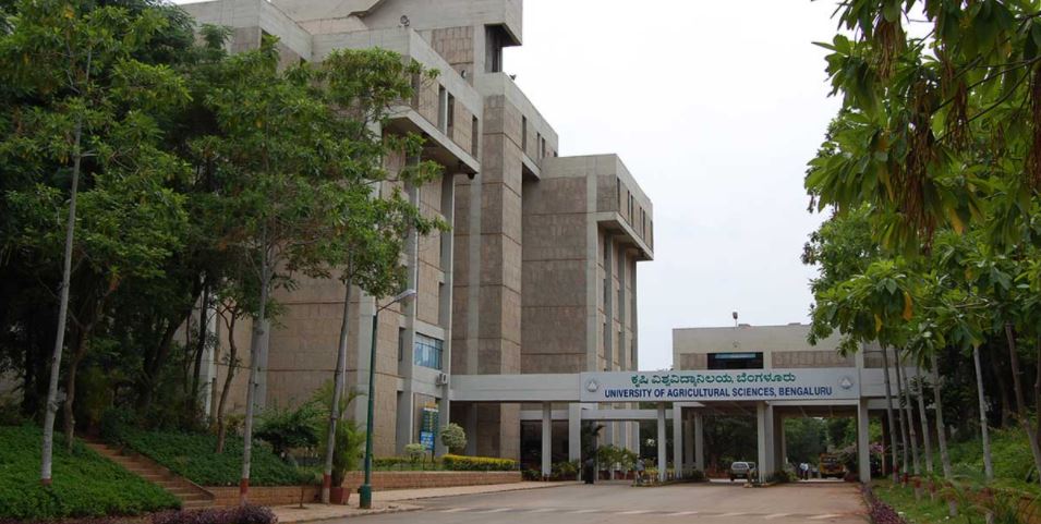 Main Building