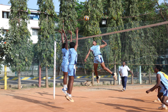 Volleyball Court
