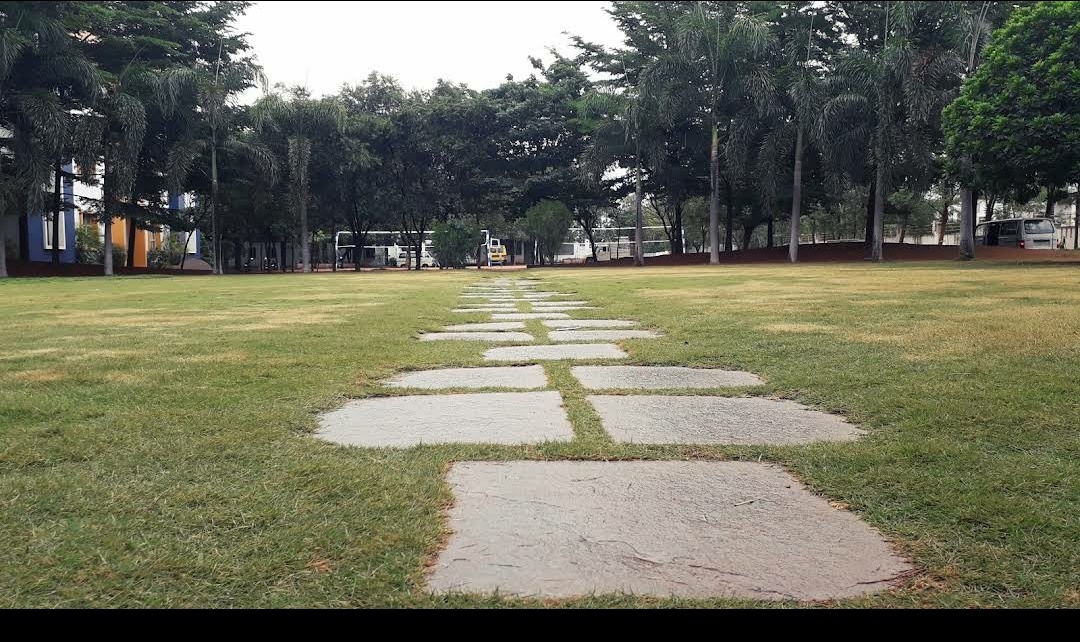 Campus View