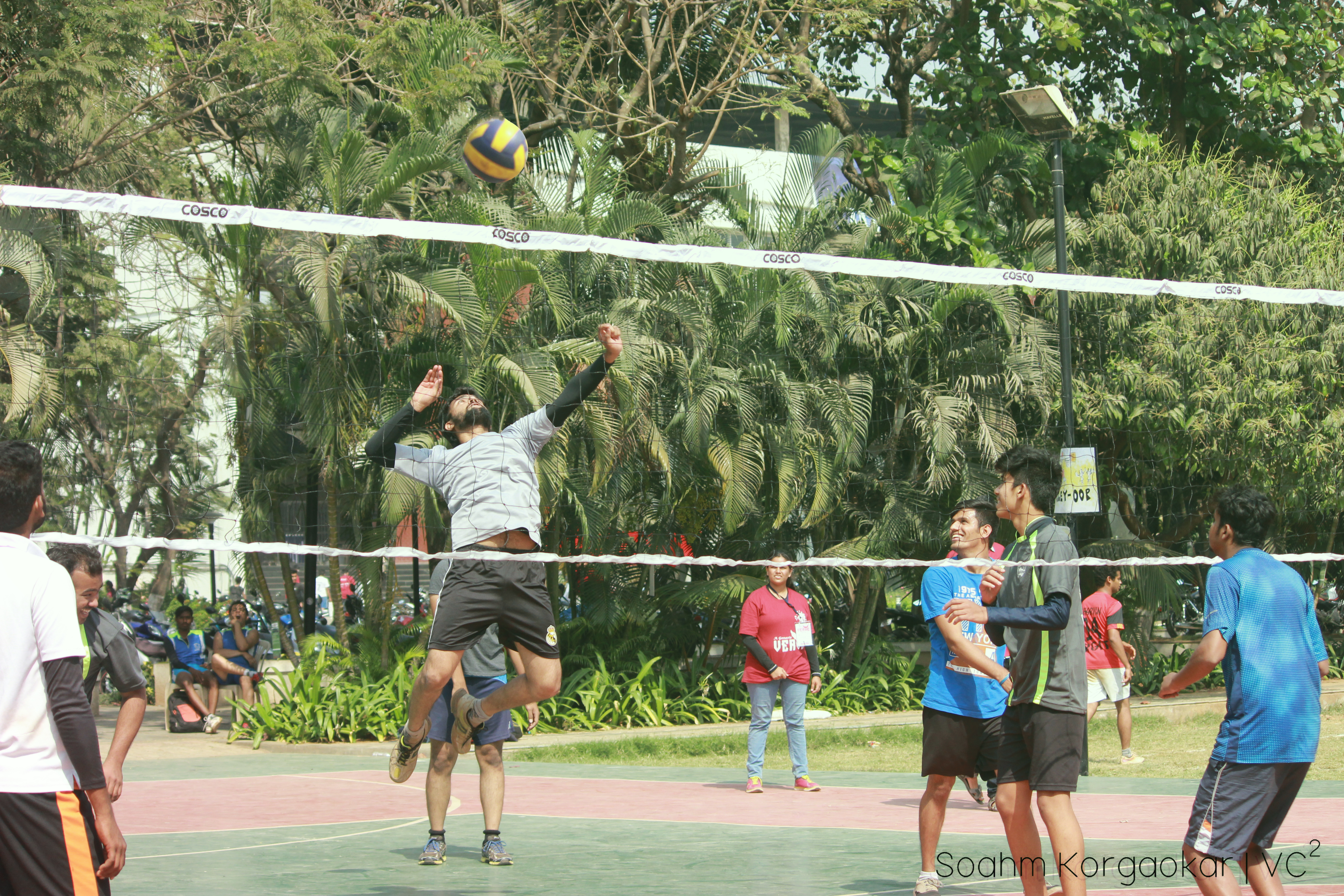 Vollyball