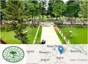 Aligarh Muslim University campus view