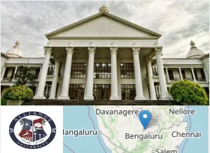 Alliance Ascent College, Alliance University