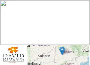 David Memorial Business School