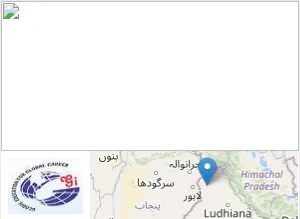 Global Institutes Global Institutes