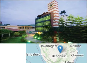 Indian School of Business and Computing