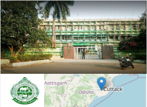 Odisha University of Agriculture & Technology, Bhubaneswar campus view