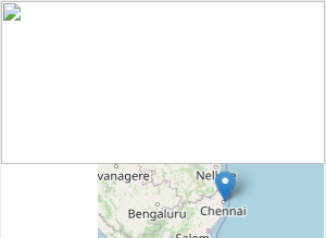 Remo International College of Aviation, Guindy campus view