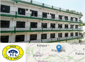 Shambhunath Group of Institution Campus Image