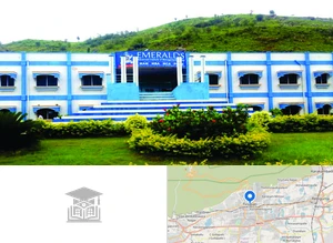 Emeralds Advanced Institute of Management Studies