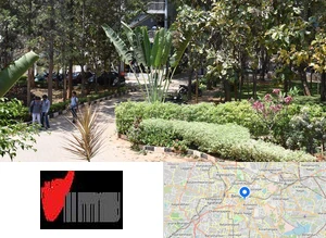 Impact Institute of Management Studies