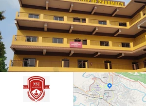 Netaji Subhas Institute of Business Management