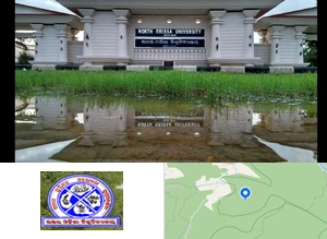 North Orissa University (NOU Orissa)